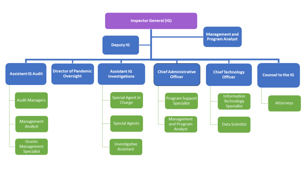 AmeriCorps OIG Org Chart
